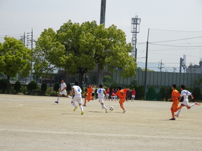 DSC00085.JPG