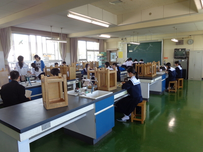 DSC05435.JPG