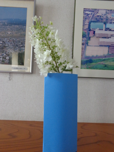 DSC05771.JPG