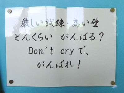 DSC06001.JPG