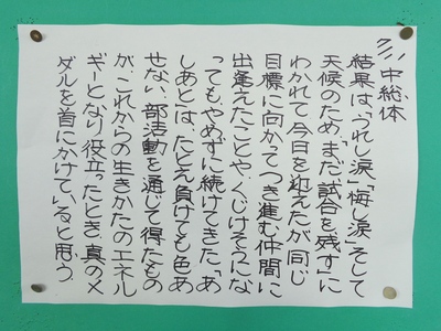28-7-11.JPG