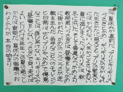 28-7-14.JPG