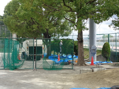 DSC07317.JPG