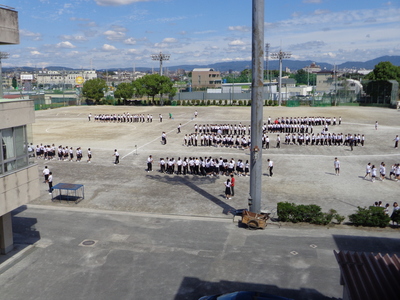 DSC07380.JPG