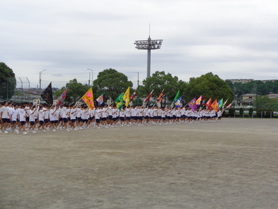 DSC07495.JPG