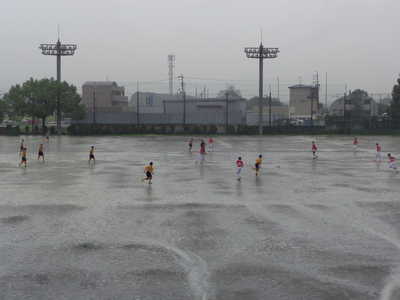 DSC07799.JPG
