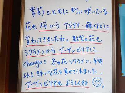 DSCN0804.JPG