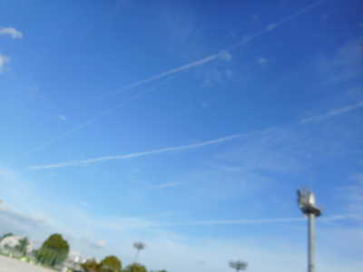 DSCN0616.JPG
