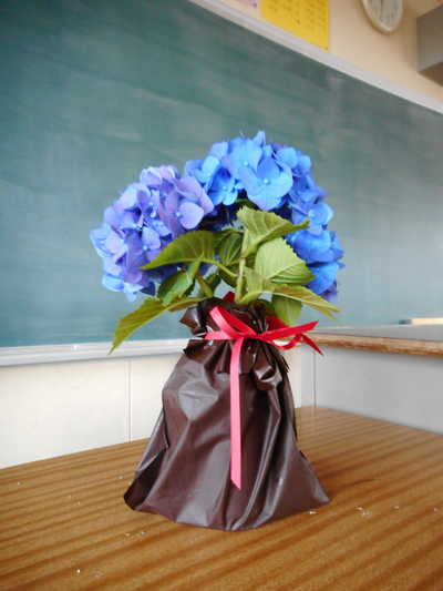 DSCN0954.JPG