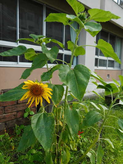 DSCN2037.JPG