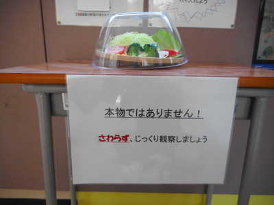 DSCN2238.JPG