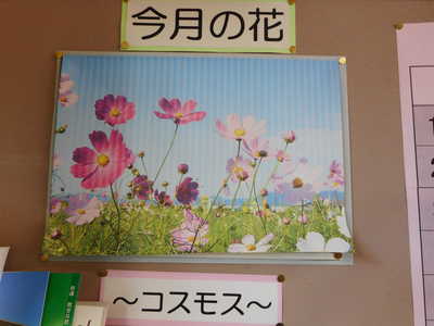 DSCN2248.JPG