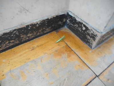 DSCN2255.JPG