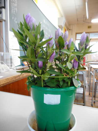 DSCN2362.JPG