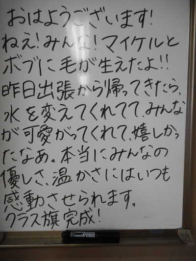 DSCN2407.JPG