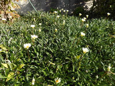 DSCN2833.JPG