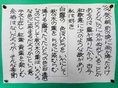 29-11-14.JPG