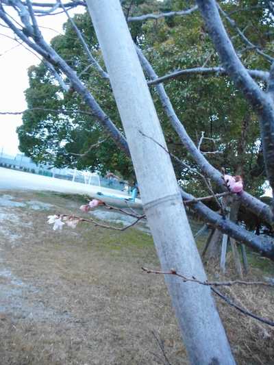 DSCN4907.JPG