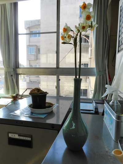 DSCN5023.JPG