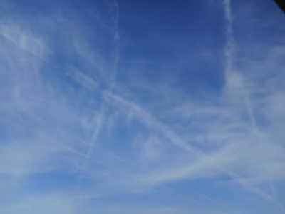 DSCN5186.JPG