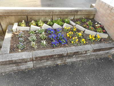 DSCN5211.JPG