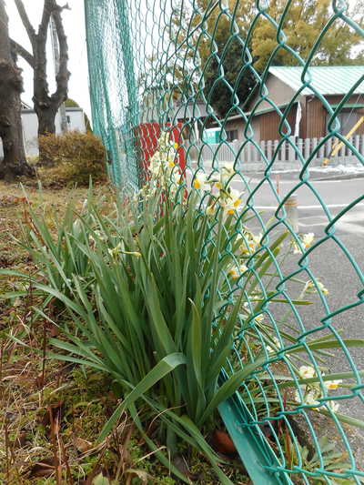 DSCN5410.JPG
