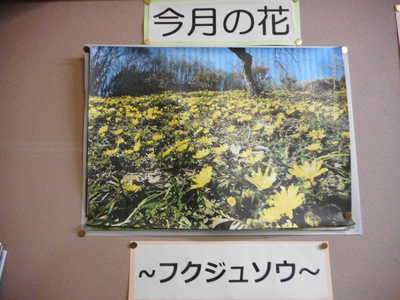 DSCN5549.JPG