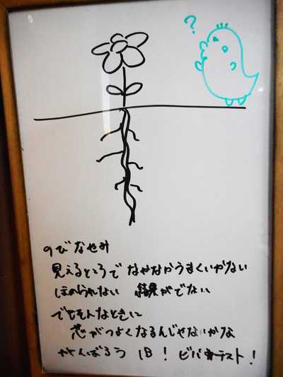 DSCN5688.JPG