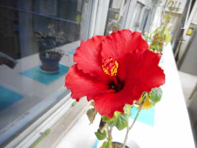 DSCN5699.JPG