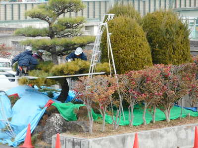DSCN5732.JPG