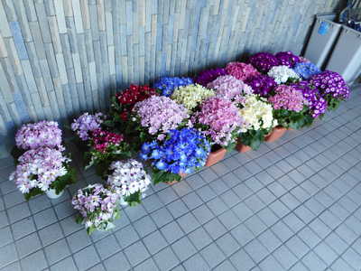 DSCN6219.JPG