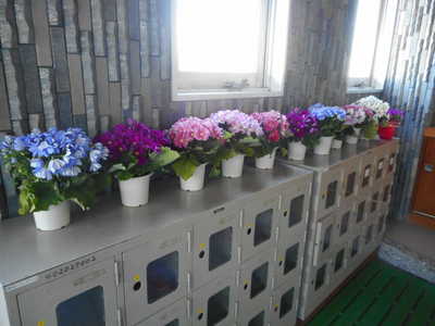 DSCN6220.JPG