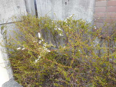DSCN6267.JPG