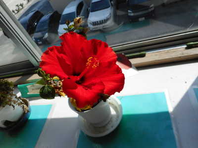 DSCN6268.JPG