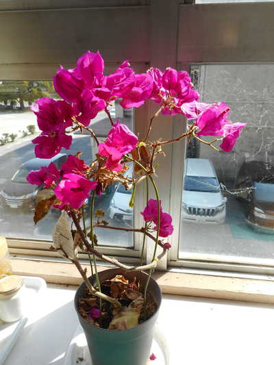 DSCN6269.JPG