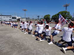 DSC00412.JPG