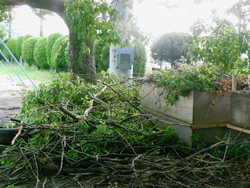 DSCN3672.JPG