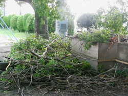 DSCN3673.JPG