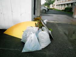 DSCN3674.JPG