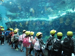 ２年名古屋港水族館 037.JPG