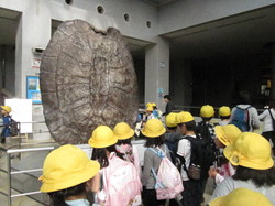 ２年名古屋港水族館 041.JPG