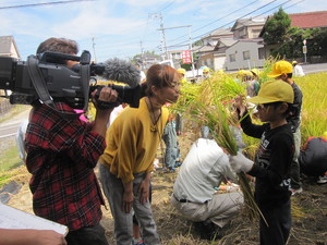 学校紹介ＧＣＴＶ②稲刈り 002.JPG