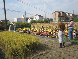 ３年　田畑見学 001.JPG