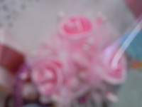 DSCN2936.JPG