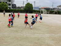 CIMG0517.JPG