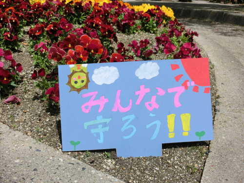 CIMG7570.JPG