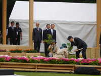 DSCN6912.JPG