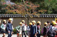 IMGP1275.JPG