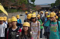 IMGP1276.JPG