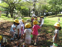 IMG_2647.JPG